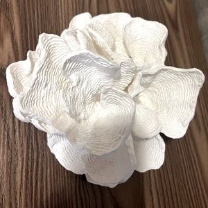 Pottery Barn wave Coral